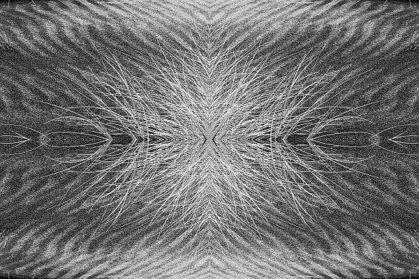 Jones, Adam 아티스트의 Grass pattern reflected and flipped-Bandon-Oregon작품입니다.